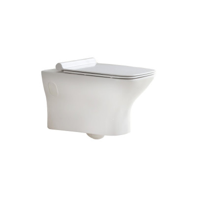Чаша для унитаза подвесного BelBagno Romano BB248CHR