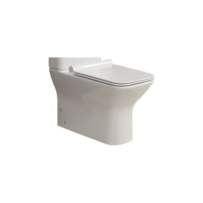 Чаша для унитаза подвесного BelBagno Romano BB248CPR-P