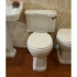 Чаша для унитаза-компакта BelBagno Trevi BB135CP