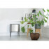 Мусорное ведро Brabantia Bo Touch Bin 316081 11 + 11 + 11 л