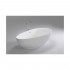 Акриловая ванна Black&White Swan SB106