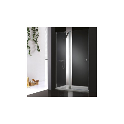 Душевая дверь в нишу Cezares Elena W B12 120 C Cr