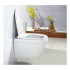 Чаша для унитаза подвесного BelBagno Cento-r BB509CH