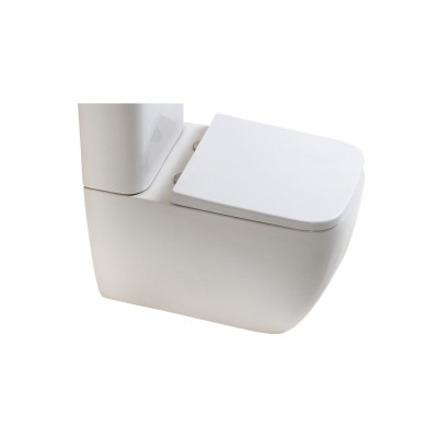 Чаша для унитаза-компакта BelBagno Alpina-r BB0159CPR