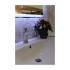 Зеркало BelBagno SPC-900-800-LED