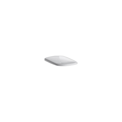Крышка-сиденье BelBagno Torino BB310SC с микролифтом, петли хром