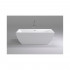 Акриловая ванна Black&White Swan SB108