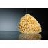 Душевой уголок Vegas Glass ZS-F 110*100 08 01 профиль глянцевый хром, стекло прозрачное