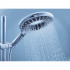 Душевая лейка Grohe Rainshower Icon 27639000