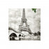 Штора для ванной Iddis Paris Days