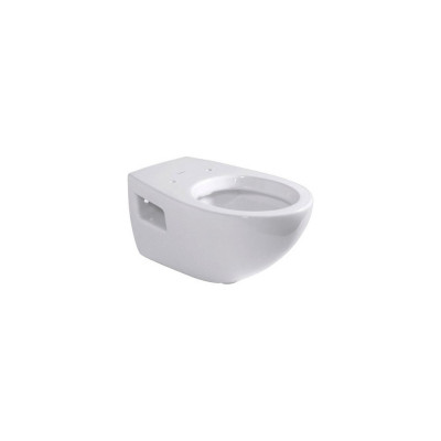 Чаша для унитаза подвесного Duravit DuraPlus 254709