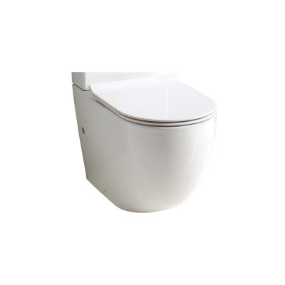 Чаша для унитаза-компакта BelBagno Sfera-r BB006CPR
